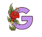 Purple illustration of the letter G with a red flower.