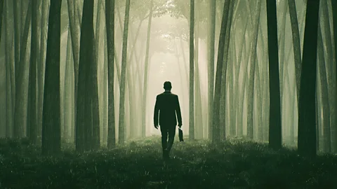 A suited business person walks into a forest.