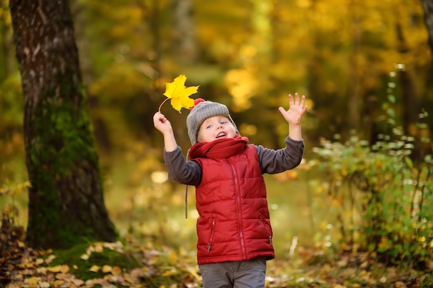 Kleiner Junge während des Spaziergangs im Wald am sonnigen Herbsttag