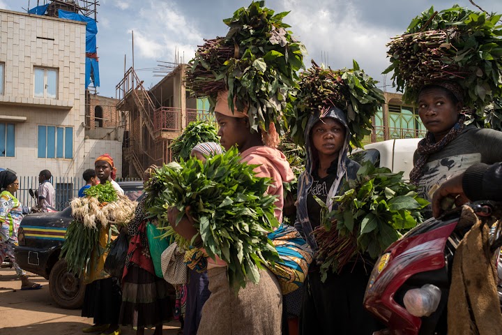 Women in the streets of Bukavu carrying plants