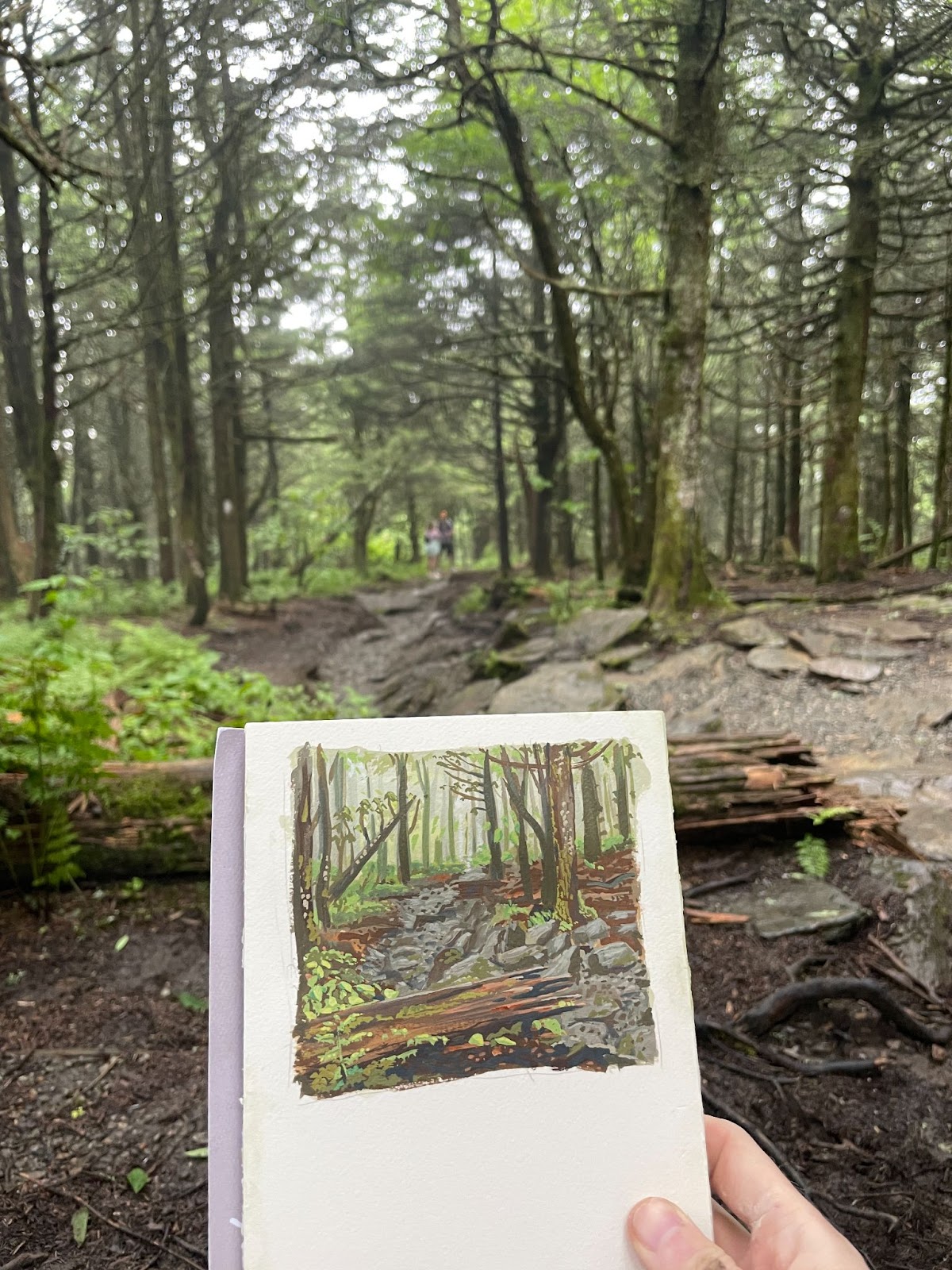 Photograph of a notebook painting being held up in front of a forest