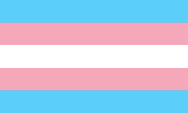 Trans rights flag with horizontal blue, pink, and white stripes.