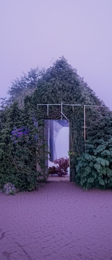 Una casa hecha de plantas generada por IA. Hay una puerta abierta que revela un manojo de flores en tonos índigo. El fondo es un cielo índigo y un suelo agrietado en tonos índigo con el mensaje "Una casa hecha de plantas en índigo".
