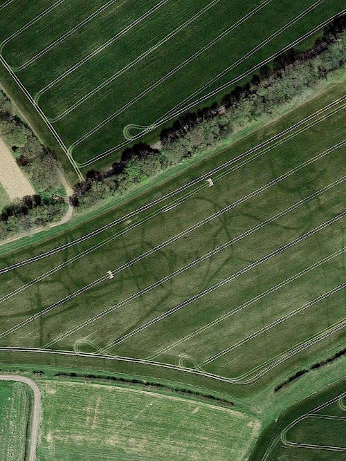 A photo from Google Earth of a field with visible markings