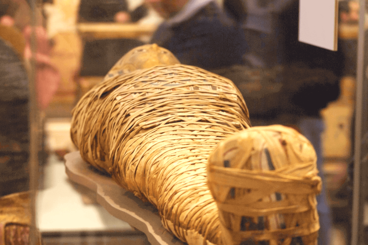 Египтяне извлекали мозг мумии через нос, назвав другой способ мумификации
