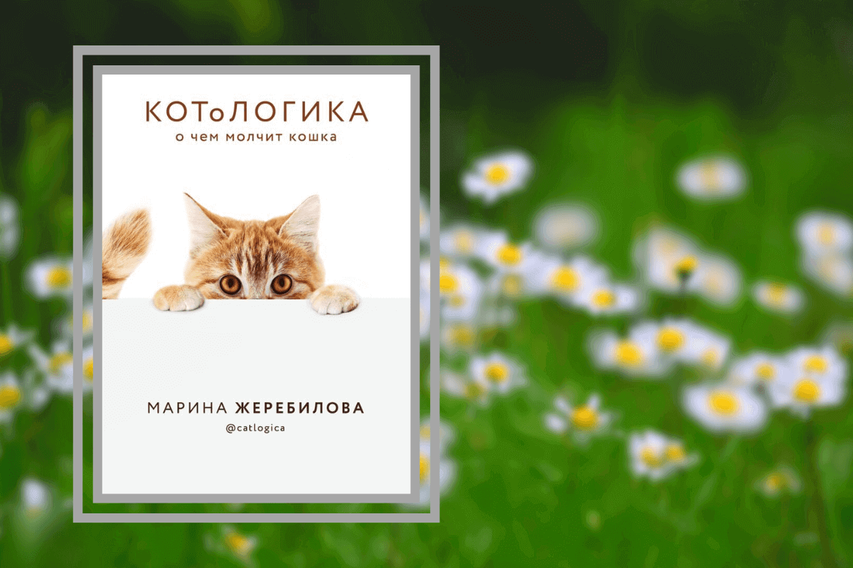 ТОП-15 лучших познавательных книг про животных: «КОТоЛОГИКА. О чем молчит кошка», М. Жеребилова