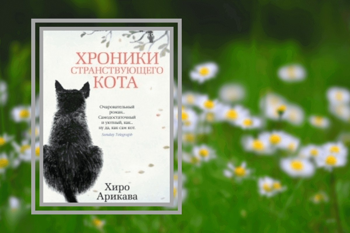 ТОП-15 лучших познавательных книг про животных: «Хроники странствующего кота», Х. Арикава