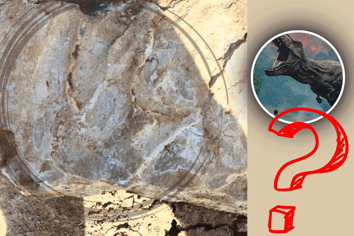 Археологи обнаружили трехпалый след под руинами 600-летнего монастыря