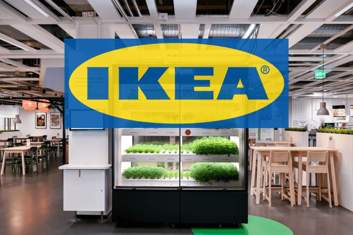 IKEA в партнерстве с Inform тестирует вертикальные фермы