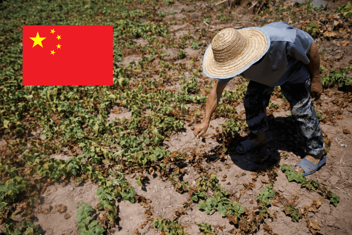 Китай планирует провести искусственный засев облаков, чтобы защитить зерновые культуры от засухи