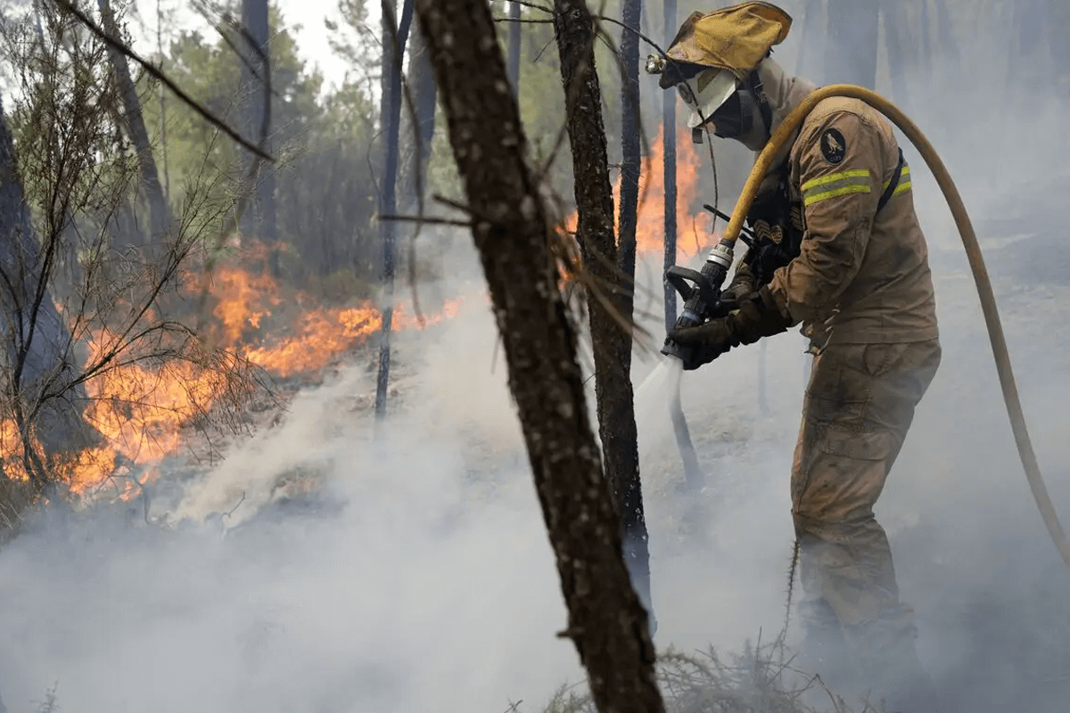 В Европе продолжаются многочисленные лесные пожары из-за аномальной жары