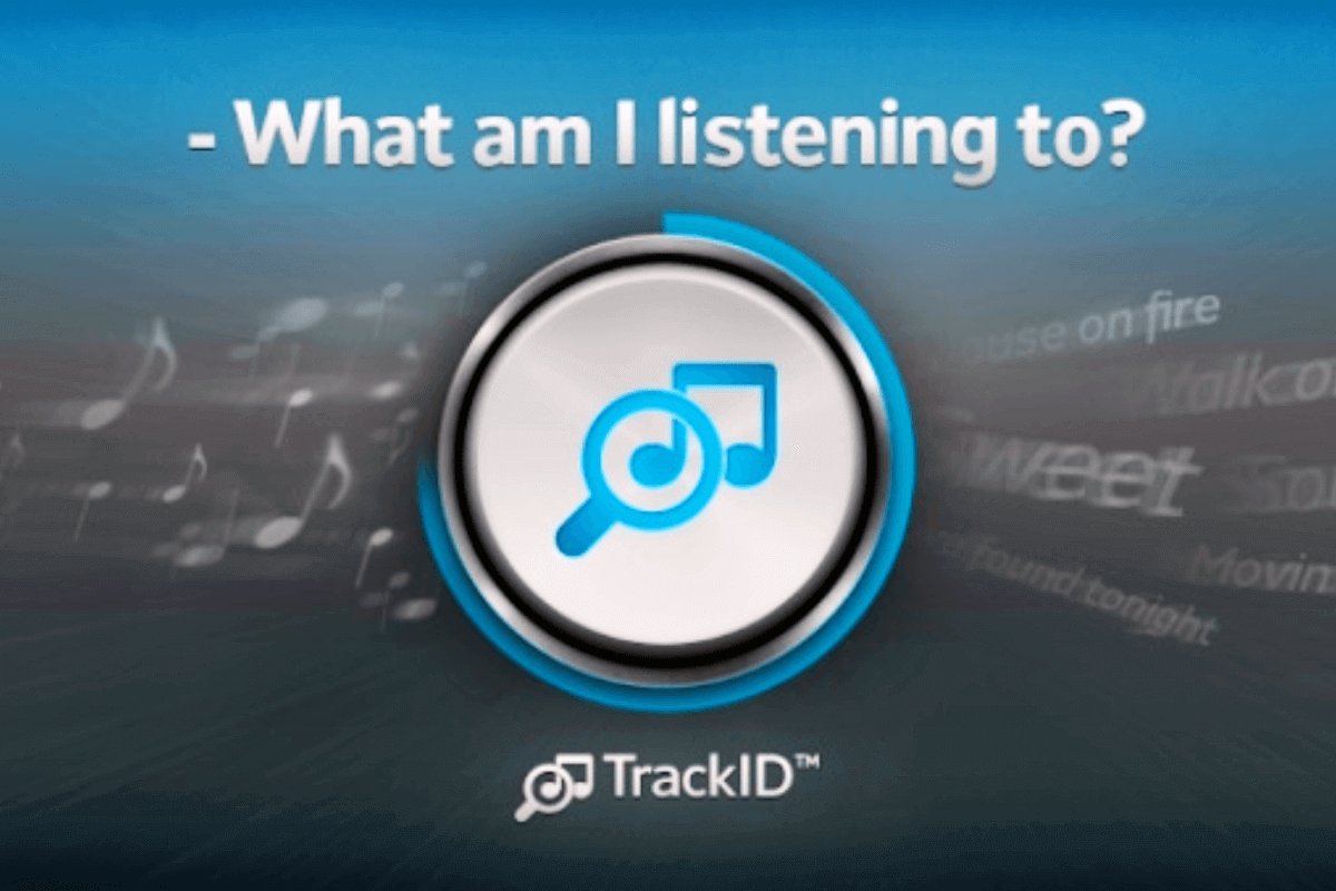 Лучшие приложения для распознавания музыки по звуку и поиска песен: TrackID