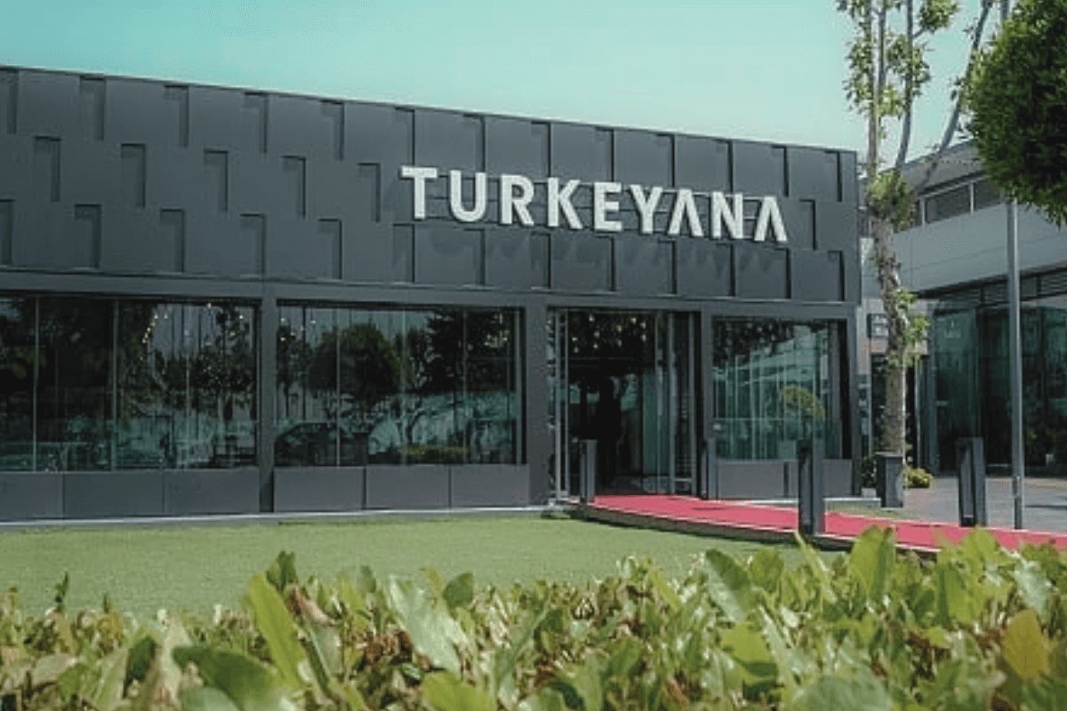 Лучшие клиники пластической хирургии в мире: Turkeyana