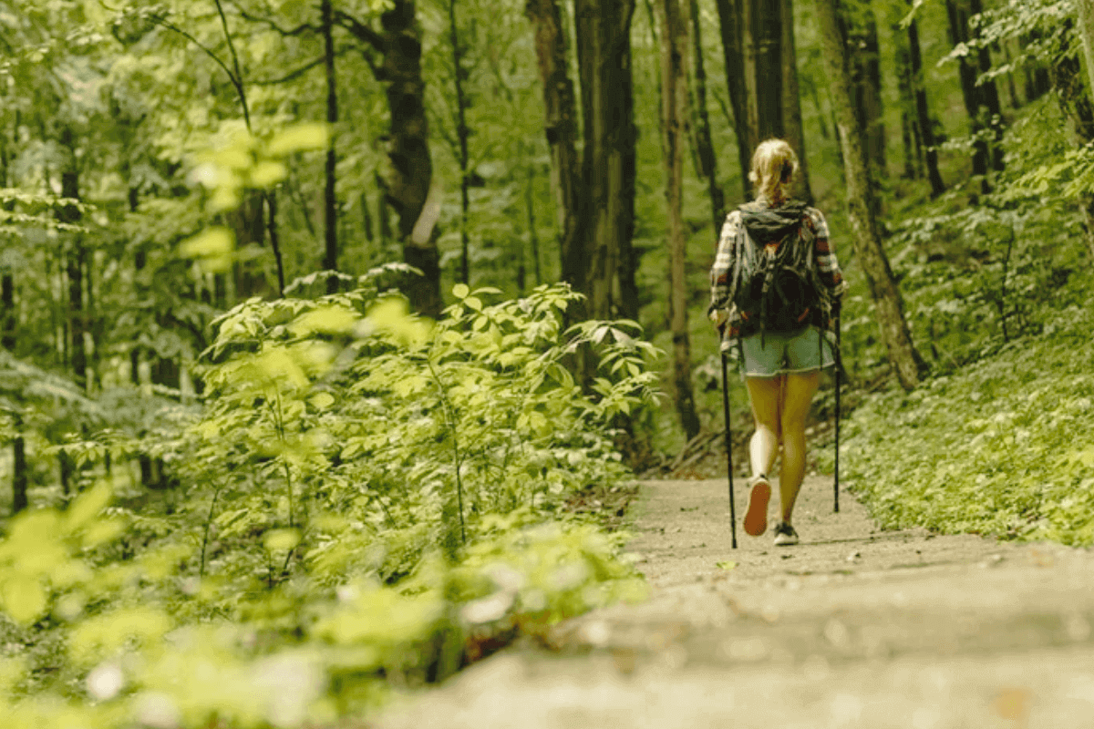Как сохранить ясный ум до глубокой старости: Чаще ездите на природу и гуляйте