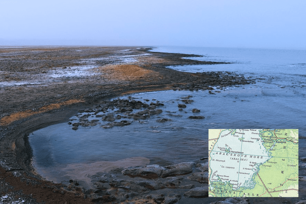 Для охраны природы в регионе Аральского моря усилено патрулирование