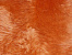 Ковер-накидка из натуральной овчины десятишкурная ОРАНЖЕВАЯ 10SS 2001 