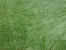 Ковер-накидка из натуральной овчины двухшкурная ЗЕЛЕНАЯ 02SS 4003 