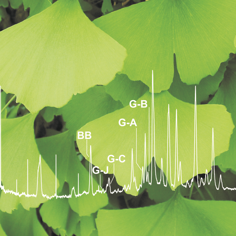 ginkgo leaves with spectrograph design